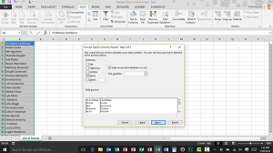 Converting Text to Columns in Microsoft Excel