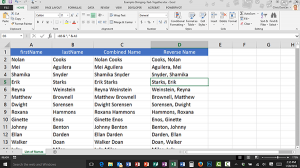 Stringing Text Together in Microsoft Excel | CDA Computer Tips